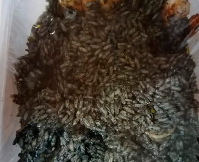 Arroz negro con marisco