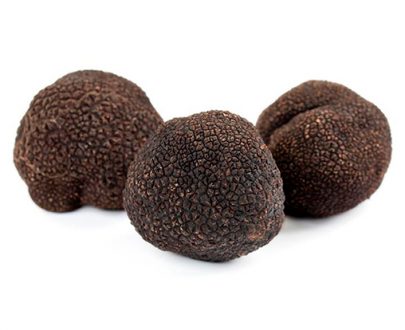 Trufa melanosporum fresca